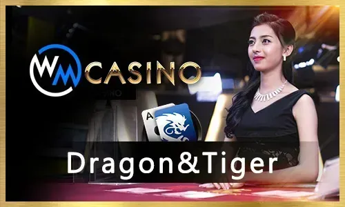 PS Gaming Provider at 8k8 Bet